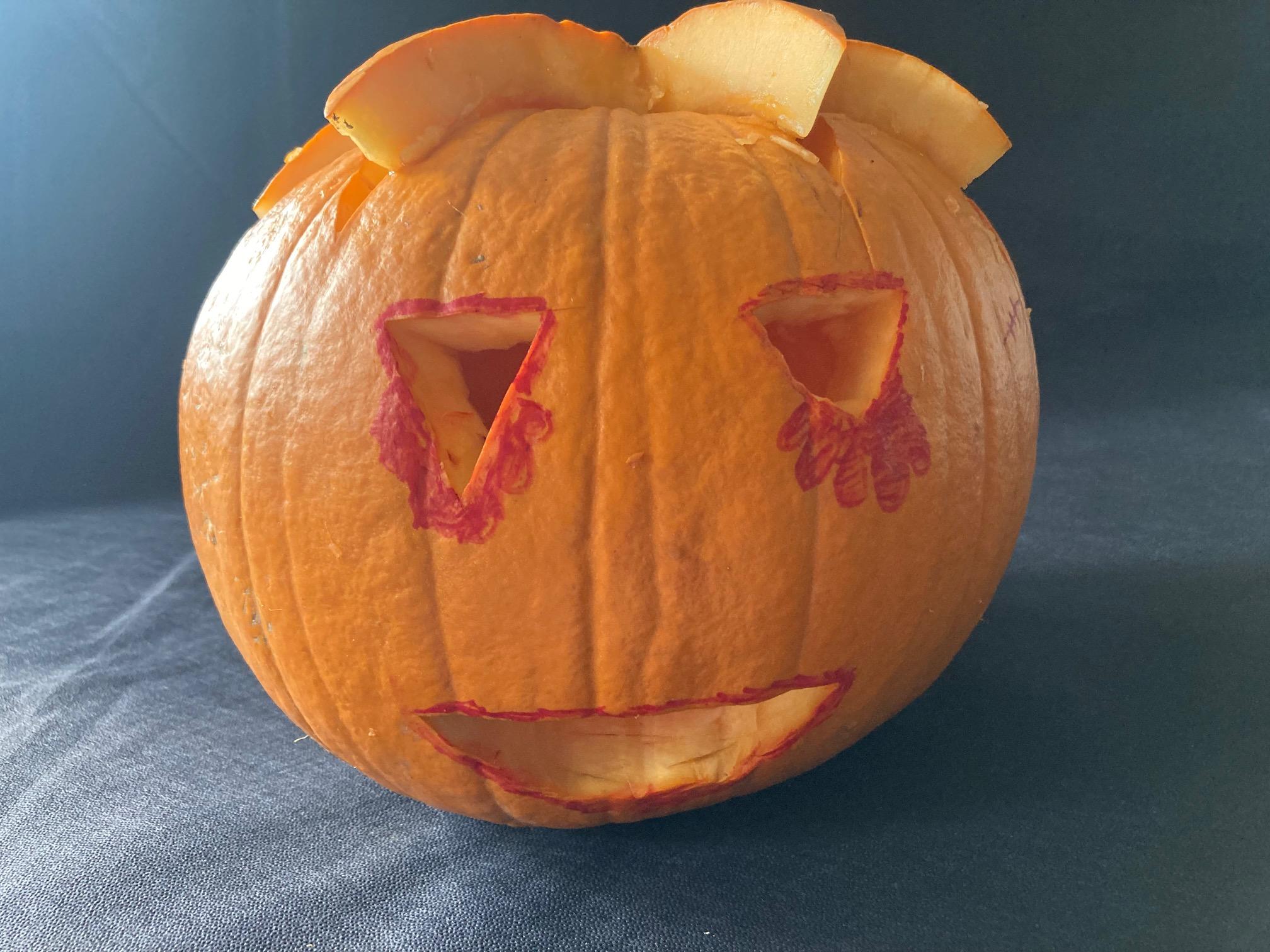 Read more about the article Wie arbeite ich mit dem grafischen Taschenrechner